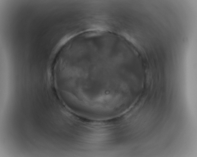 X0000113921215200910011505