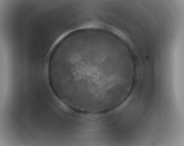 X0000113921216200910011505