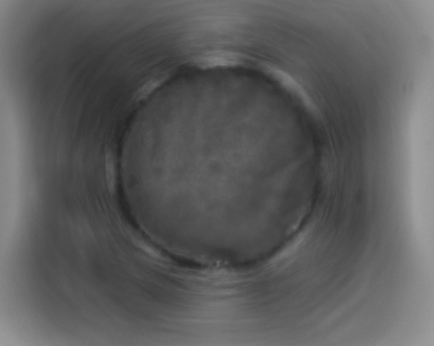 X0000113921217200910011505