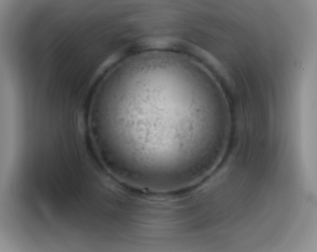 X0000113921218200910011505