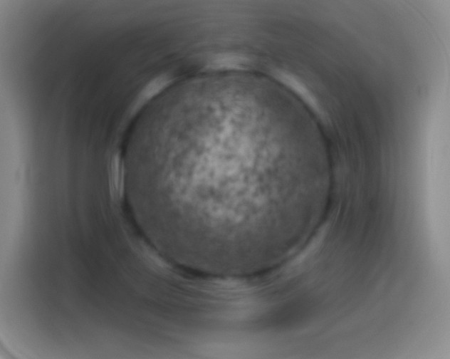 X0000113921219200910011505