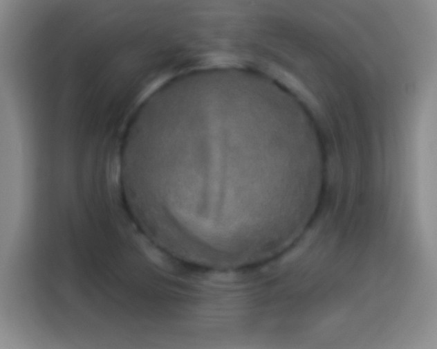 X0000113921220200910011505