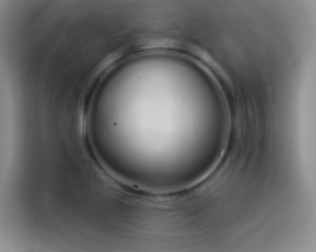 X0000113921221200910011505