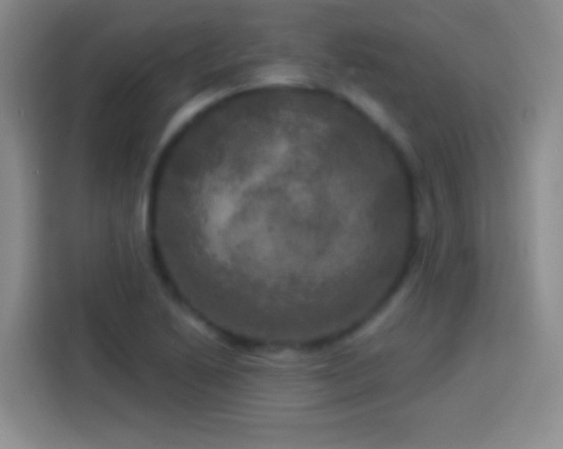 X0000113921222200910011505