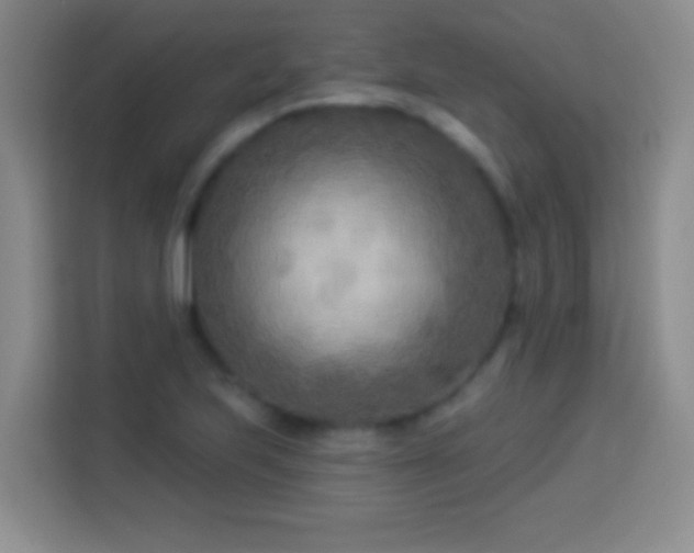 X0000113921223200910011505