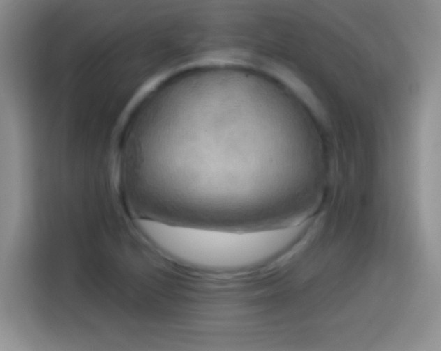 X0000113921224200910011505