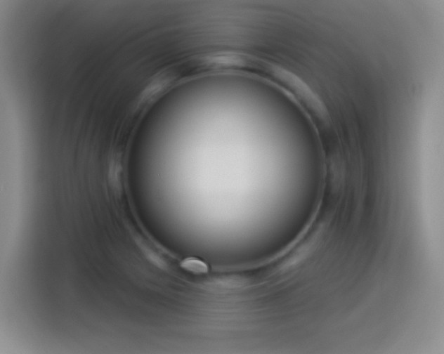 X0000113921225200910011505