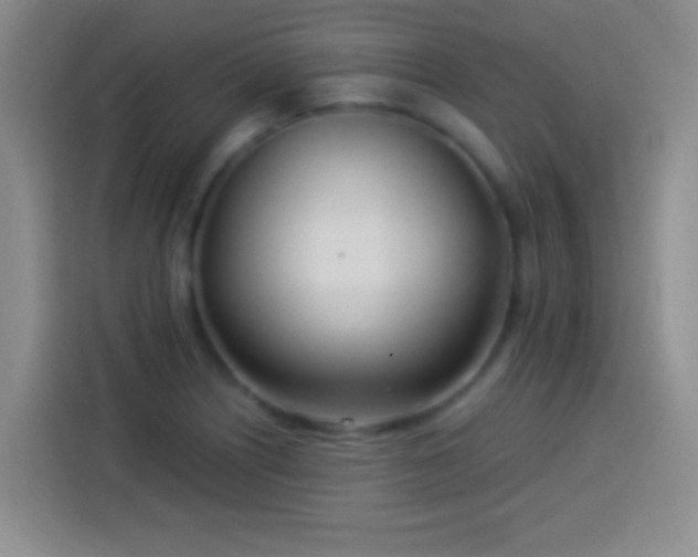 X0000113921226200910011505