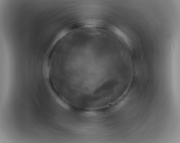 X0000113921227200910011505