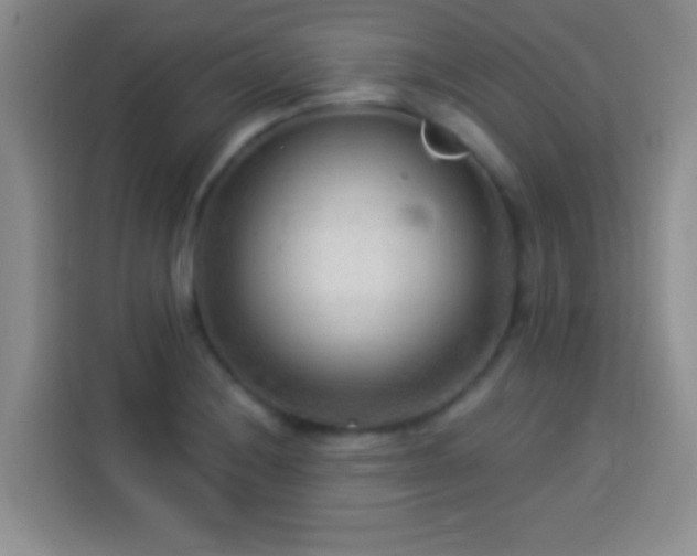 X0000113921228200910011505