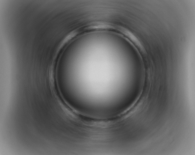 X0000113921229200910011505