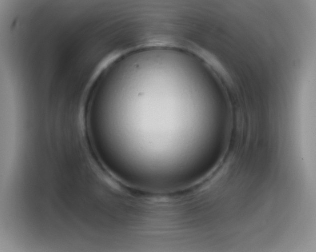 X0000113921230200910011505