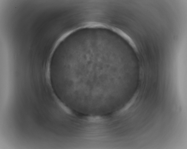 X0000113921231200910011505