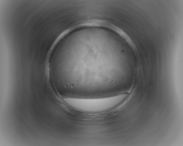 X0000113921232200910011505