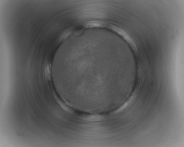 X0000113921233200910011505