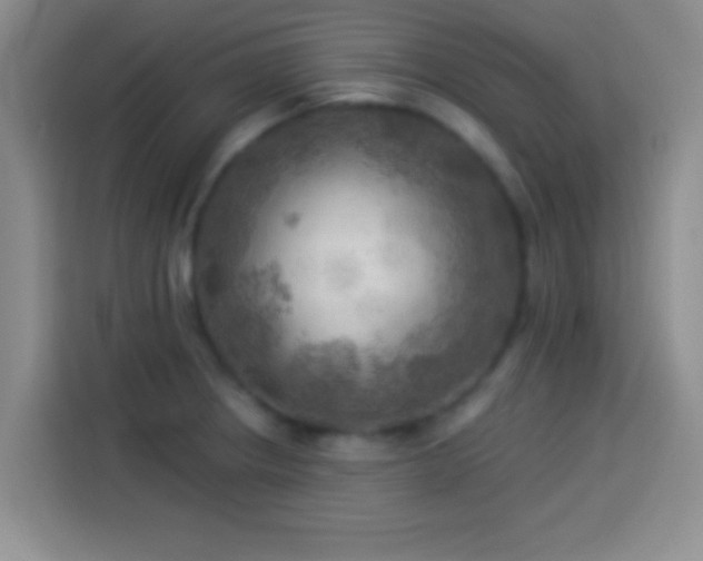 X0000113921234200910011505