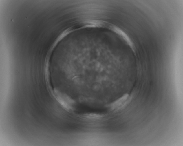 X0000113921235200910011505