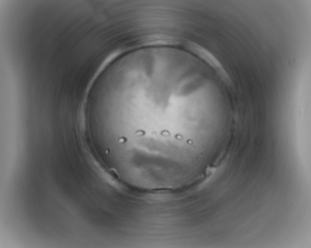 X0000113921236200910011505