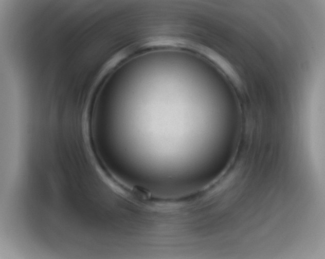 X0000113921237200910011505