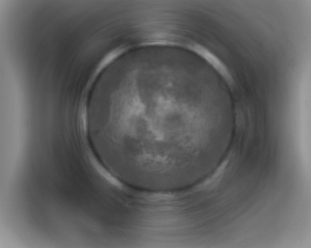 X0000113921238200910011505