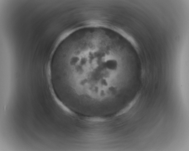 X0000113921239200910011505