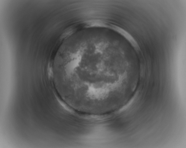 X0000113921241200910011505