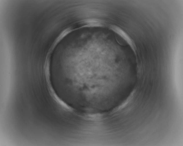 X0000113921243200910011506