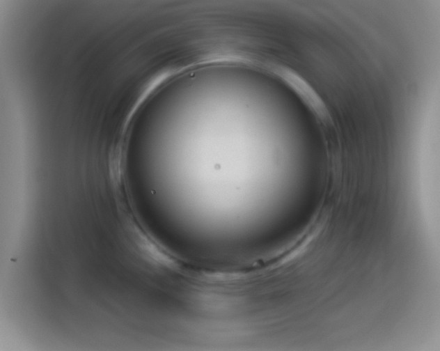 X0000113921244200910011506