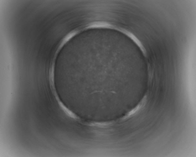 X0000113921245200910011506