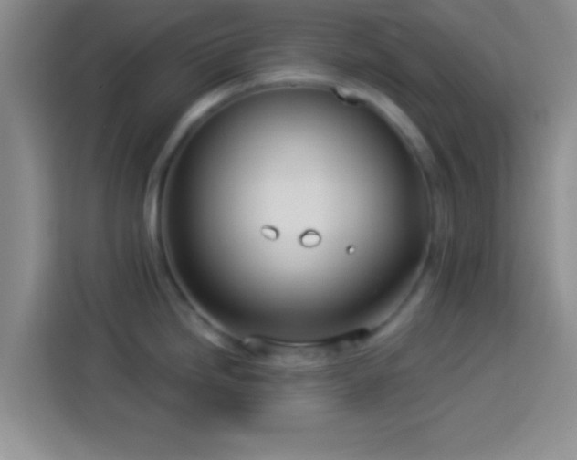 X0000113921246200910011506