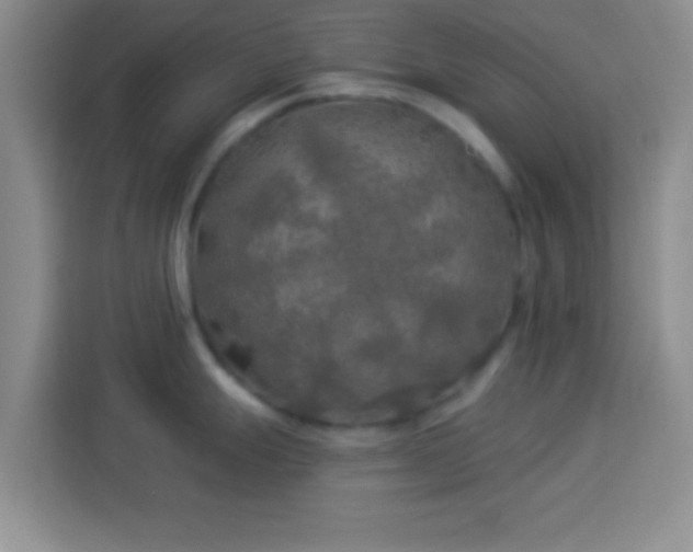 X0000113921247200910011506