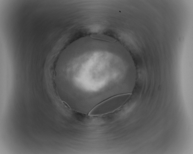 X0000113921249200910011505