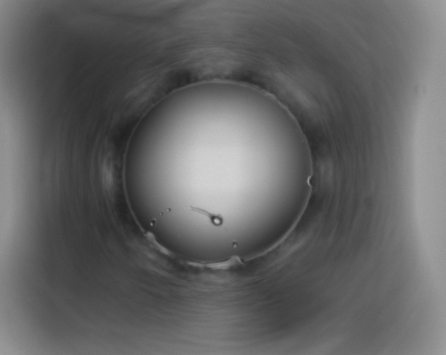 X0000113921250200910011505