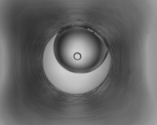 X0000113921252200910011505