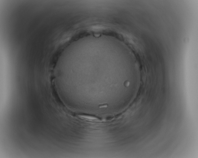 X0000113921253200910011505