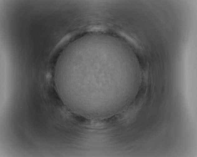 X0000113921254200910011505