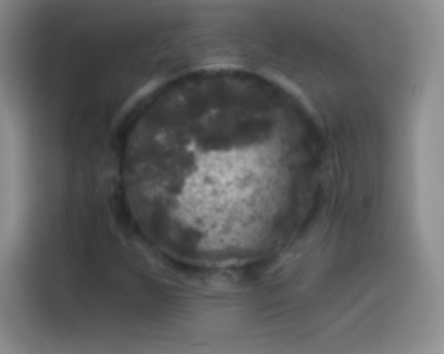 X0000113921255200910011505