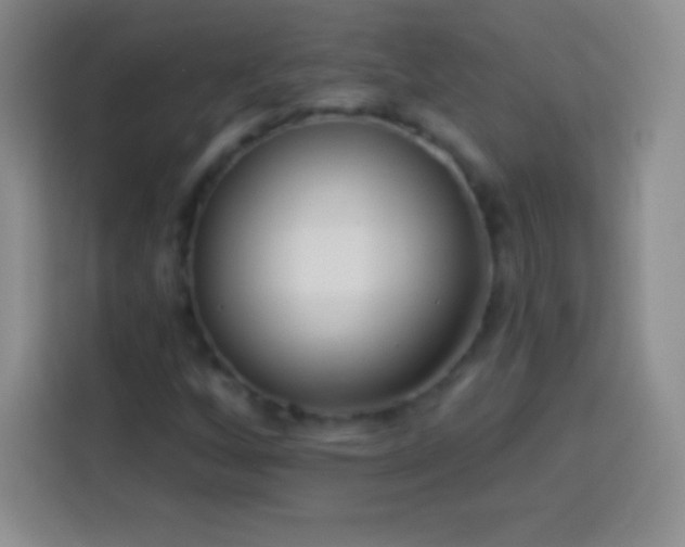 X0000113921256200910011505