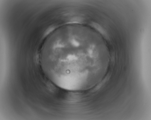 X0000113921258200910011505