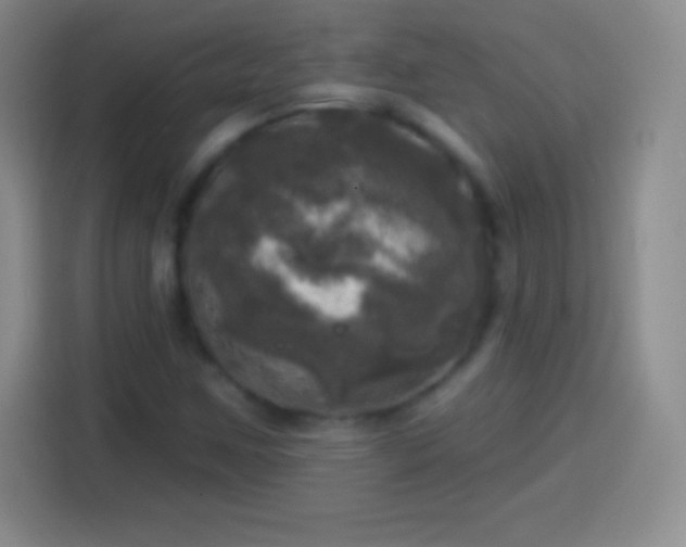 X0000113921259200910011505