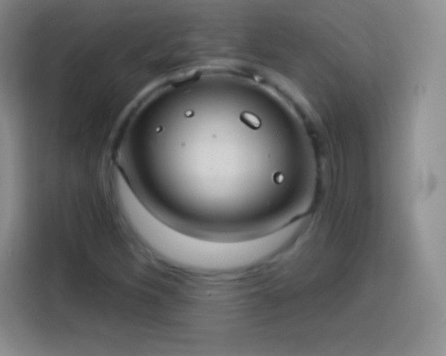 X0000113921260200910011505