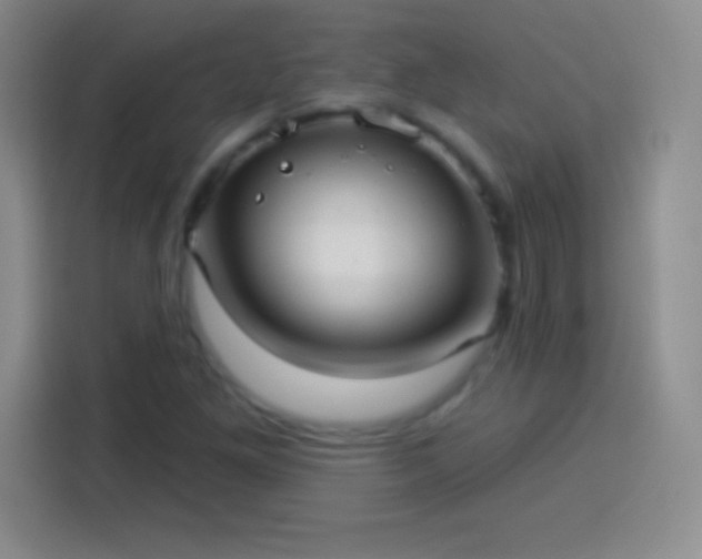 X0000113921261200910011505