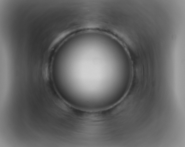 X0000113921262200910011505