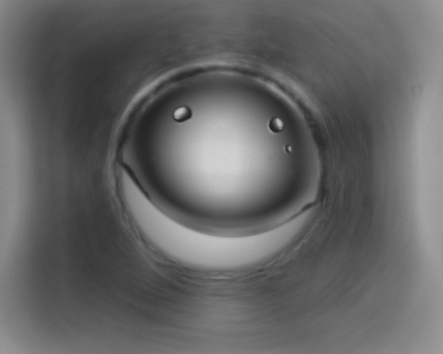 X0000113921264200910011505