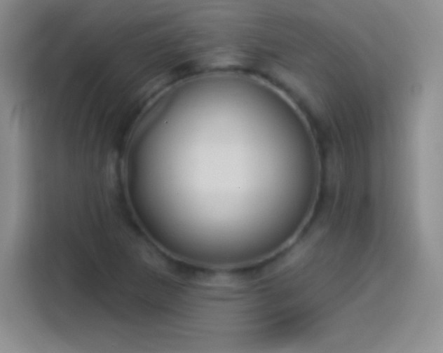 X0000113921265200910011505