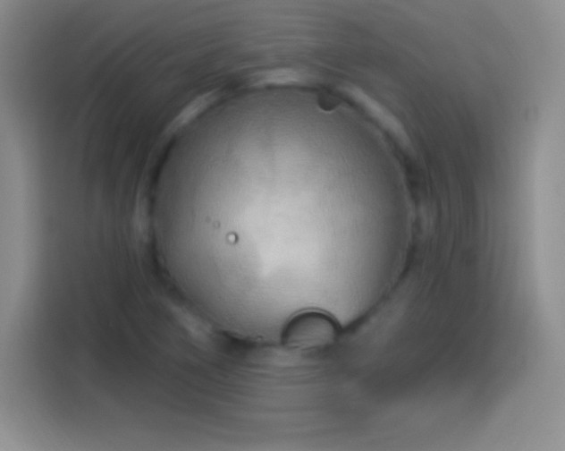 X0000113921266200910011505