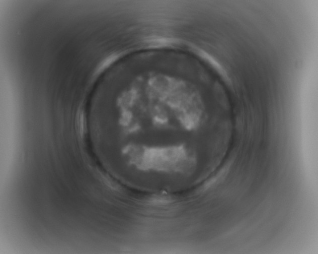 X0000113921267200910011505