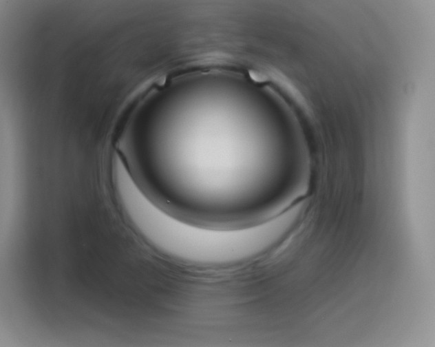 X0000113921269200910011505