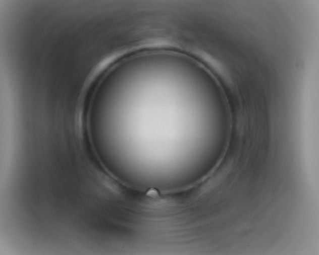 X0000113921270200910011505