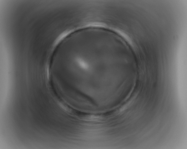 X0000113921271200910011505